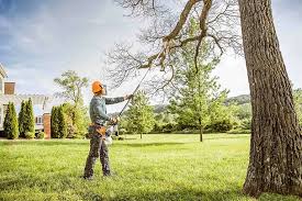 Best Commercial Tree Services  in Riverside, CA