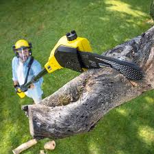 Best Pest Control for Lawns  in Riverside, CA